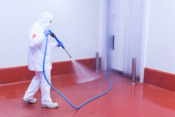Best Patio and Deck Pressure Washing  in Elkridge, MD